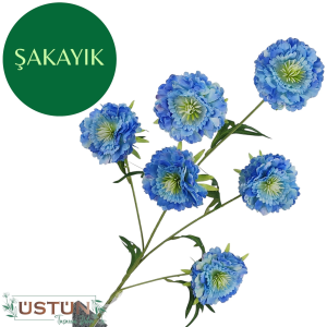 Ürün Küçük Görseli
