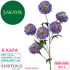 Ürün Küçük Görseli