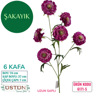 Ürün Küçük Görseli