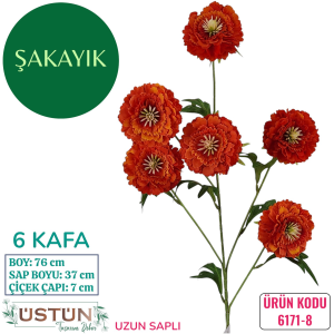 Ürün Küçük Görseli