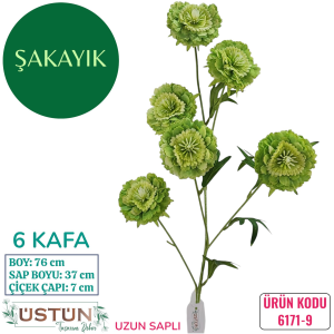 Ürün Küçük Görseli