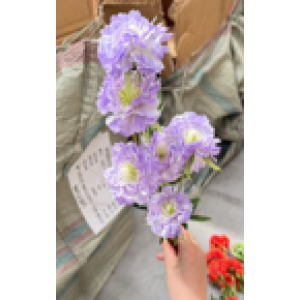 Ürün Küçük Görseli