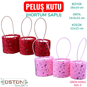 Ürün Küçük Görseli