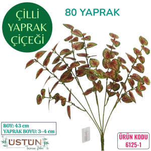 Ürün Küçük Görseli