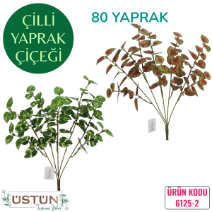 Ürün Küçük Görseli