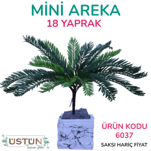Ürün Küçük Görseli