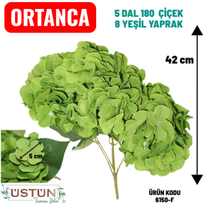 Ürün Küçük Görseli