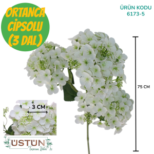 Ürün Küçük Görseli
