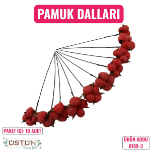 Ürün Küçük Görseli