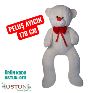 Ürün Küçük Görseli