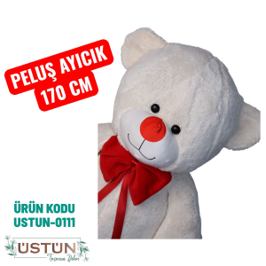 Ürün Küçük Görseli
