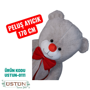 Ürün Küçük Görseli