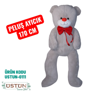 Ürün Küçük Görseli