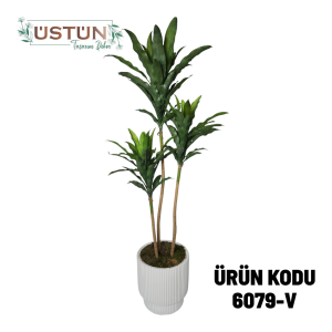 Ürün Küçük Görseli