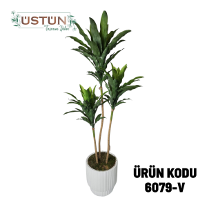 Ürün Küçük Görseli