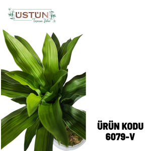 Ürün Küçük Görseli