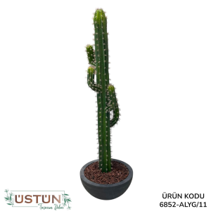 Ürün Küçük Görseli