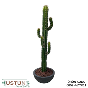 Ürün Küçük Görseli