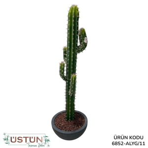 Ürün Küçük Görseli