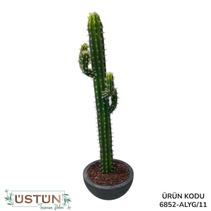 Ürün Küçük Görseli