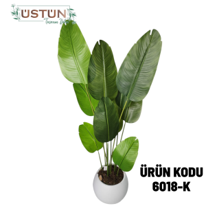 Ürün Küçük Görseli
