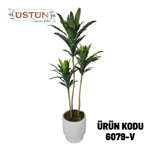 Ürün Küçük Görseli
