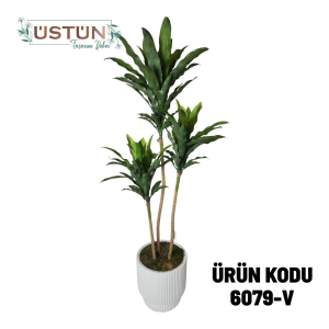 Ürün Küçük Görseli