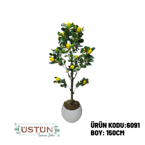 Ürün Küçük Görseli