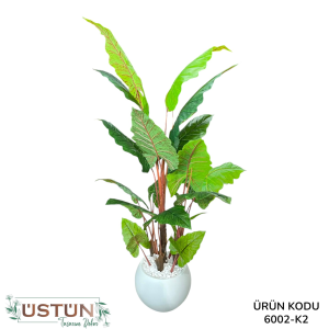 Ürün Küçük Görseli