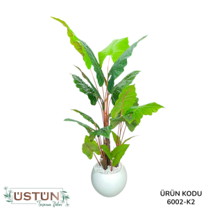 Ürün Küçük Görseli