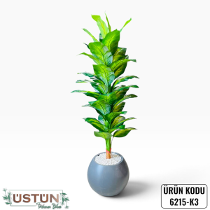 Ürün Küçük Görseli