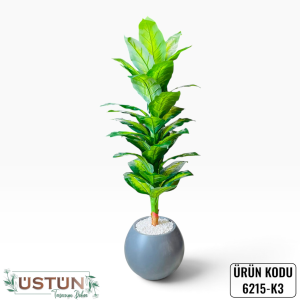 Ürün Küçük Görseli