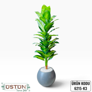 Ürün Küçük Görseli