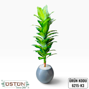 Ürün Küçük Görseli