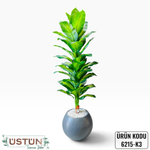 Ürün Küçük Görseli