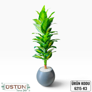 Ürün Küçük Görseli