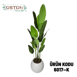 Ürün Küçük Görseli