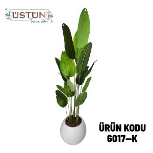 Ürün Küçük Görseli