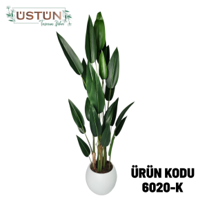 Ürün Küçük Görseli