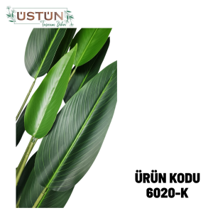 Ürün Küçük Görseli