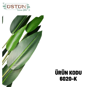 Ürün Küçük Görseli