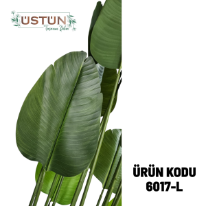 Ürün Küçük Görseli