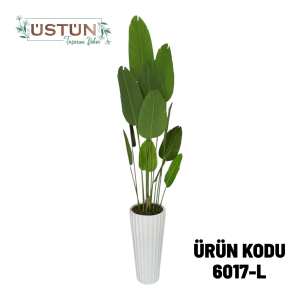 Ürün Küçük Görseli