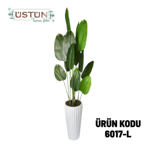 Ürün Küçük Görseli
