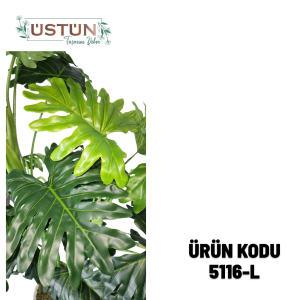 Ürün Küçük Görseli