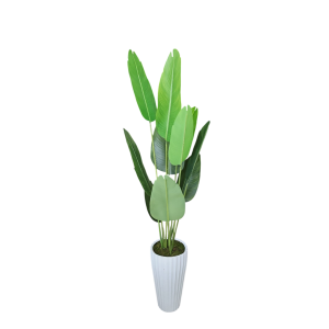 Ürün Küçük Görseli