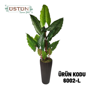 Ürün Küçük Görseli