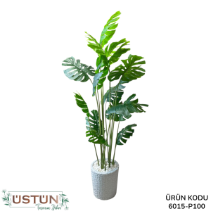 Ürün Küçük Görseli