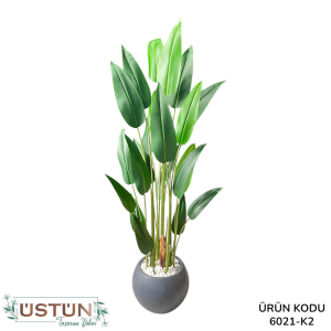 Ürün Küçük Görseli