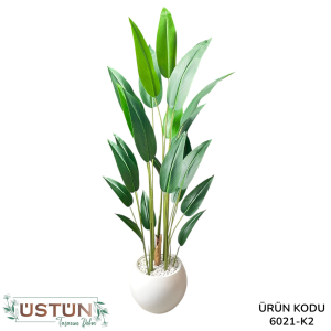 Ürün Küçük Görseli